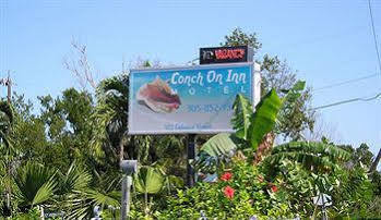 Conch On Motel Tavernier