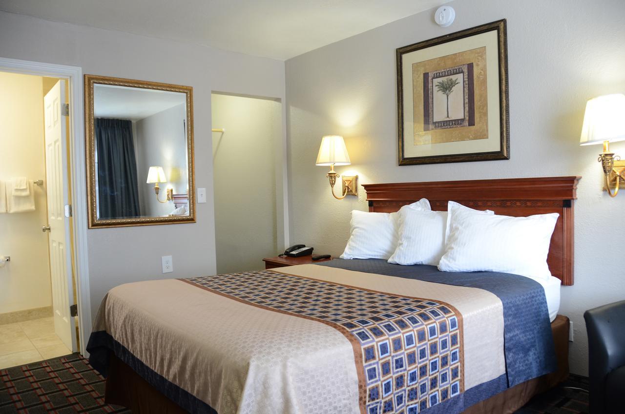Motel Lion -