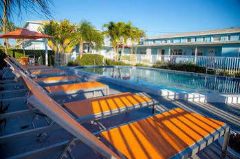 Florida Dolphin St. Pete Beach