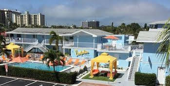Florida Dolphin 2*