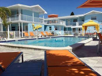 Florida Dolphin 2*