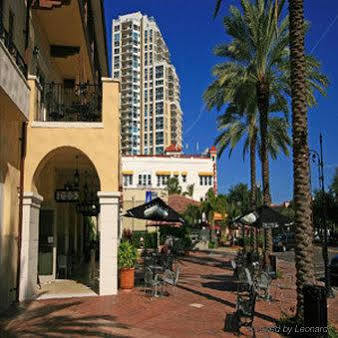Hotel The Birchwood St. Petersburg