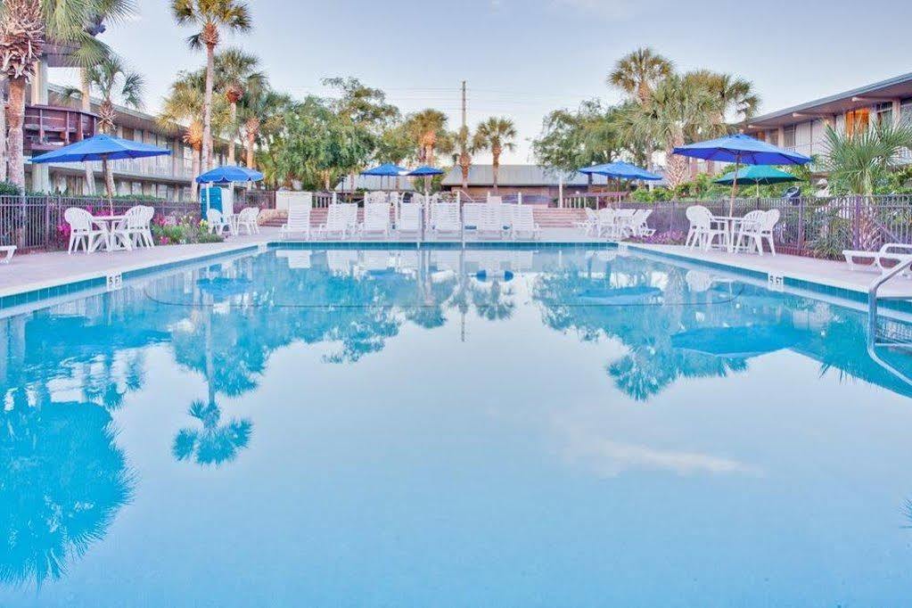 Magic Tree Hotel 3*
