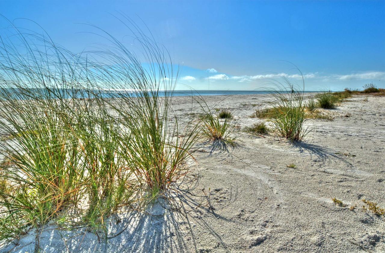 Inn Seahorse - Adults Only Sanibel