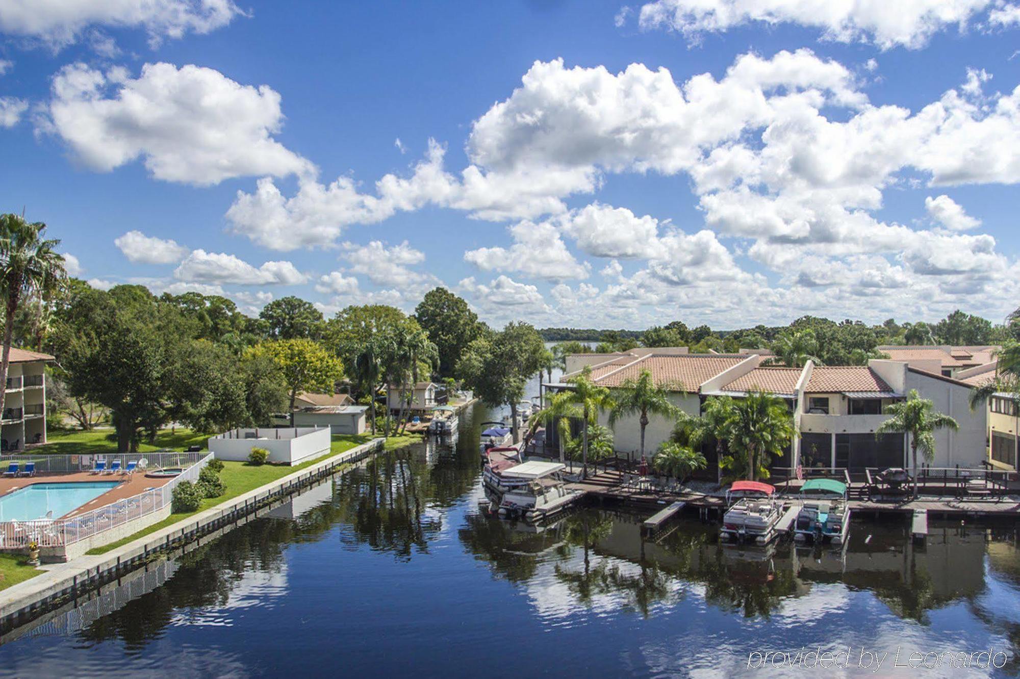 Vista Tarpon