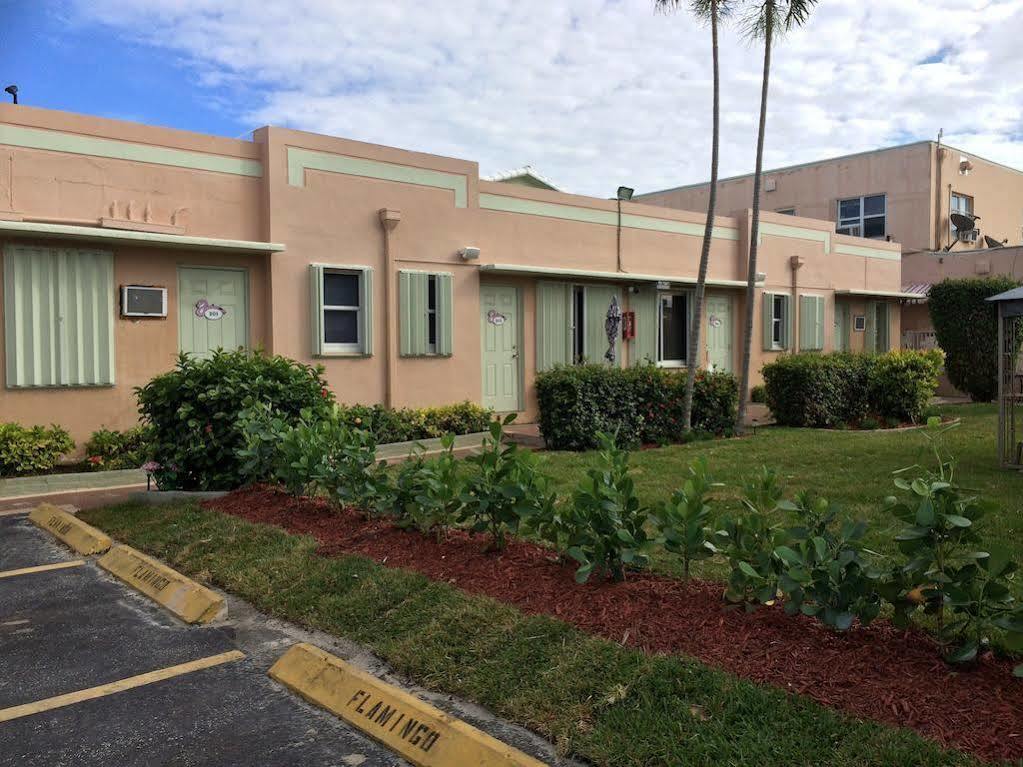 Hotel The Flamingo 3*