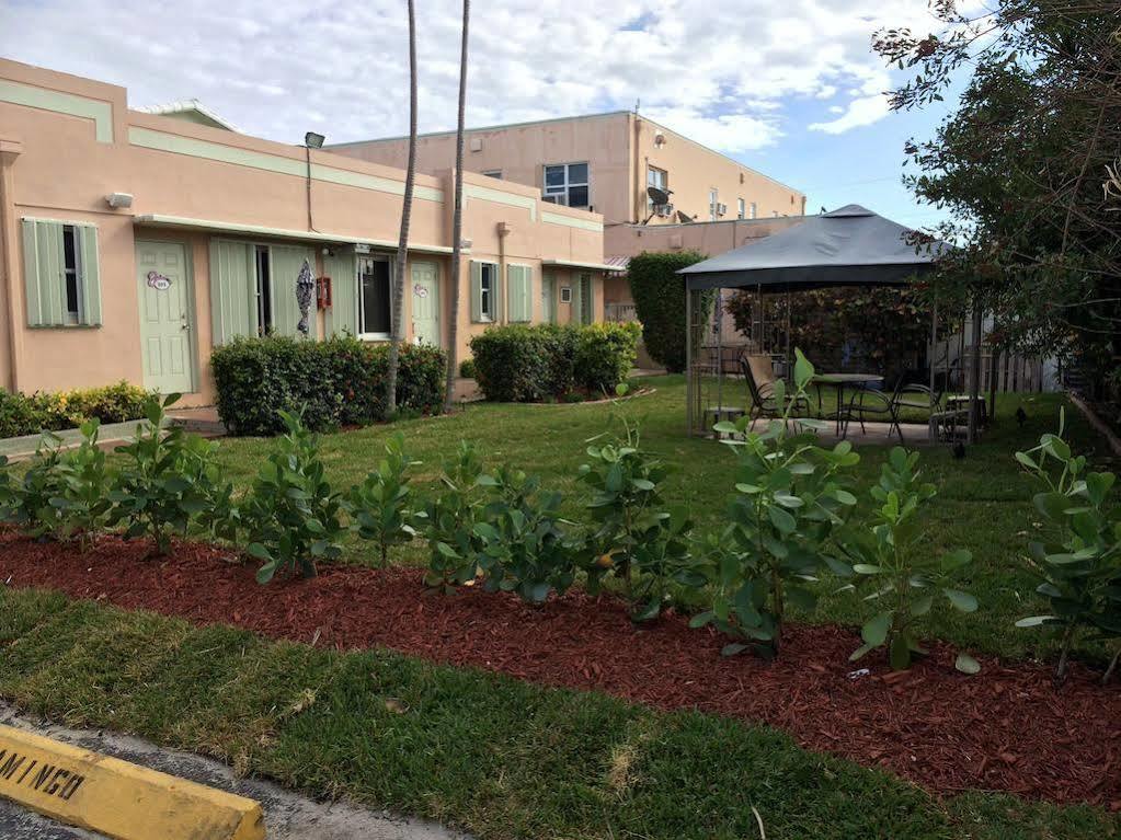 The Flamingo 3*