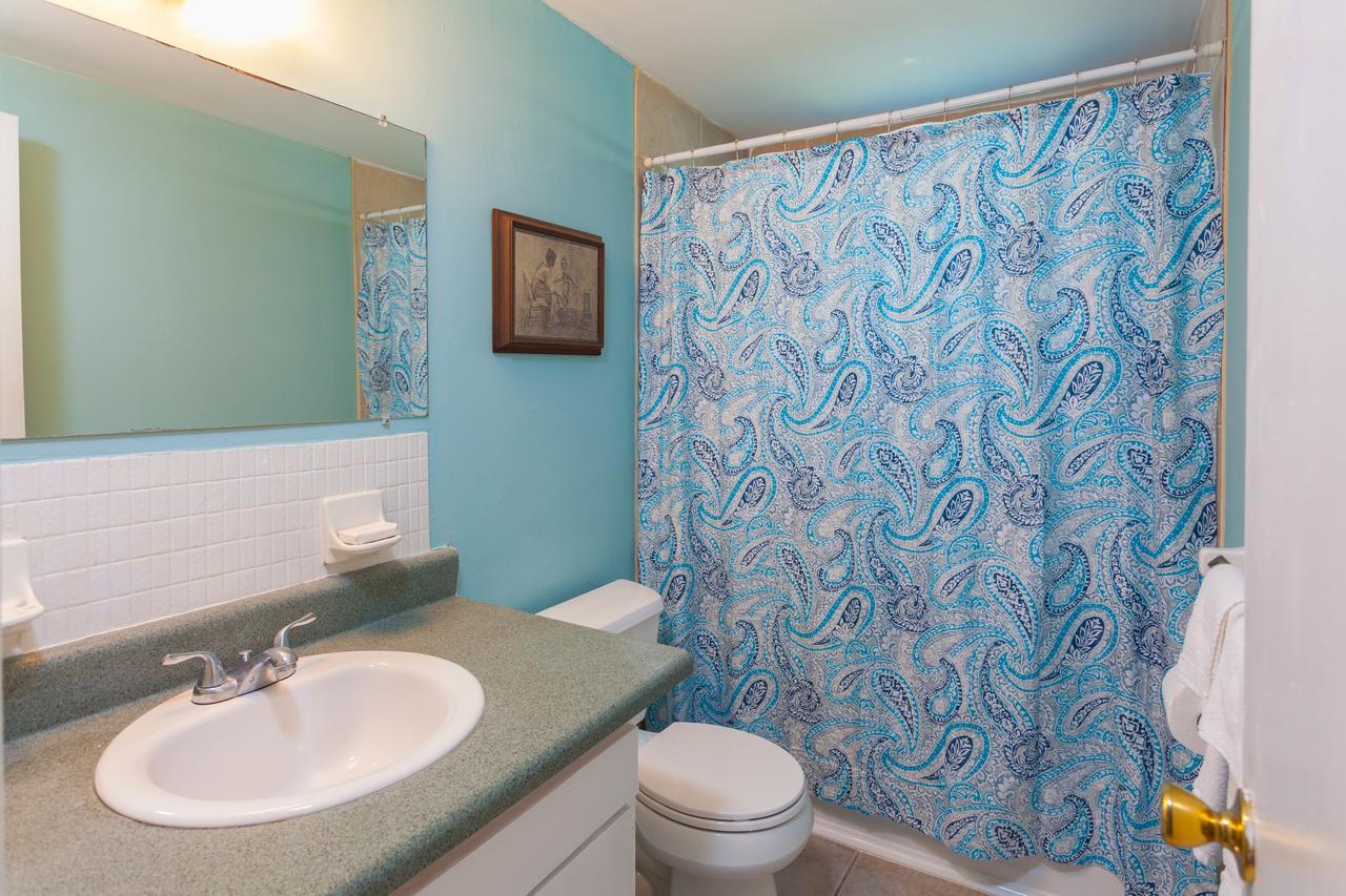 Fish Fort Myers Harlem Heights