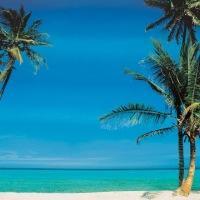 The Brazilian Court Palm Beach