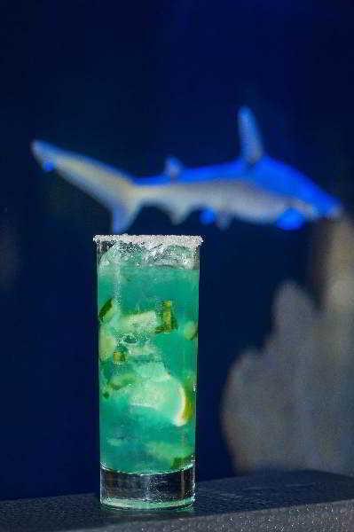 The Seagate Delray Beach