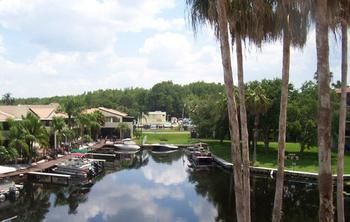 Vista Tarpon