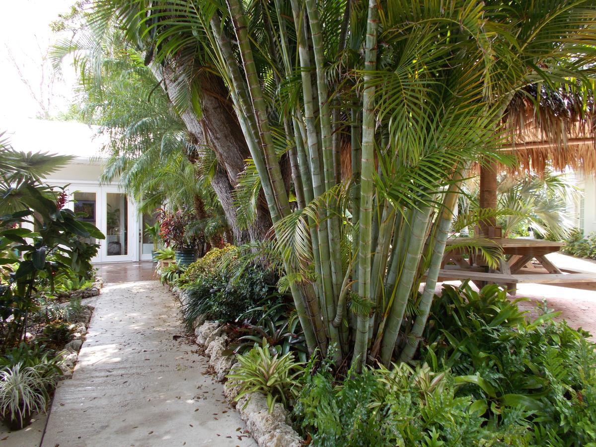 Kona Kai And Gallery (adults Only) Key Largo