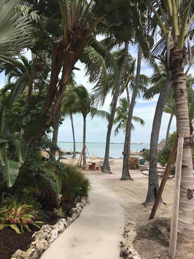 Kona Kai And Gallery (adults Only) Inn Key Largo