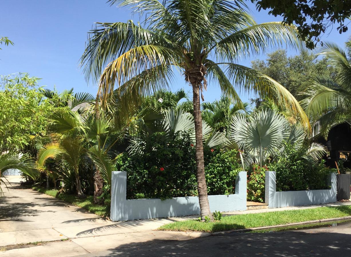 Tropical Garden A