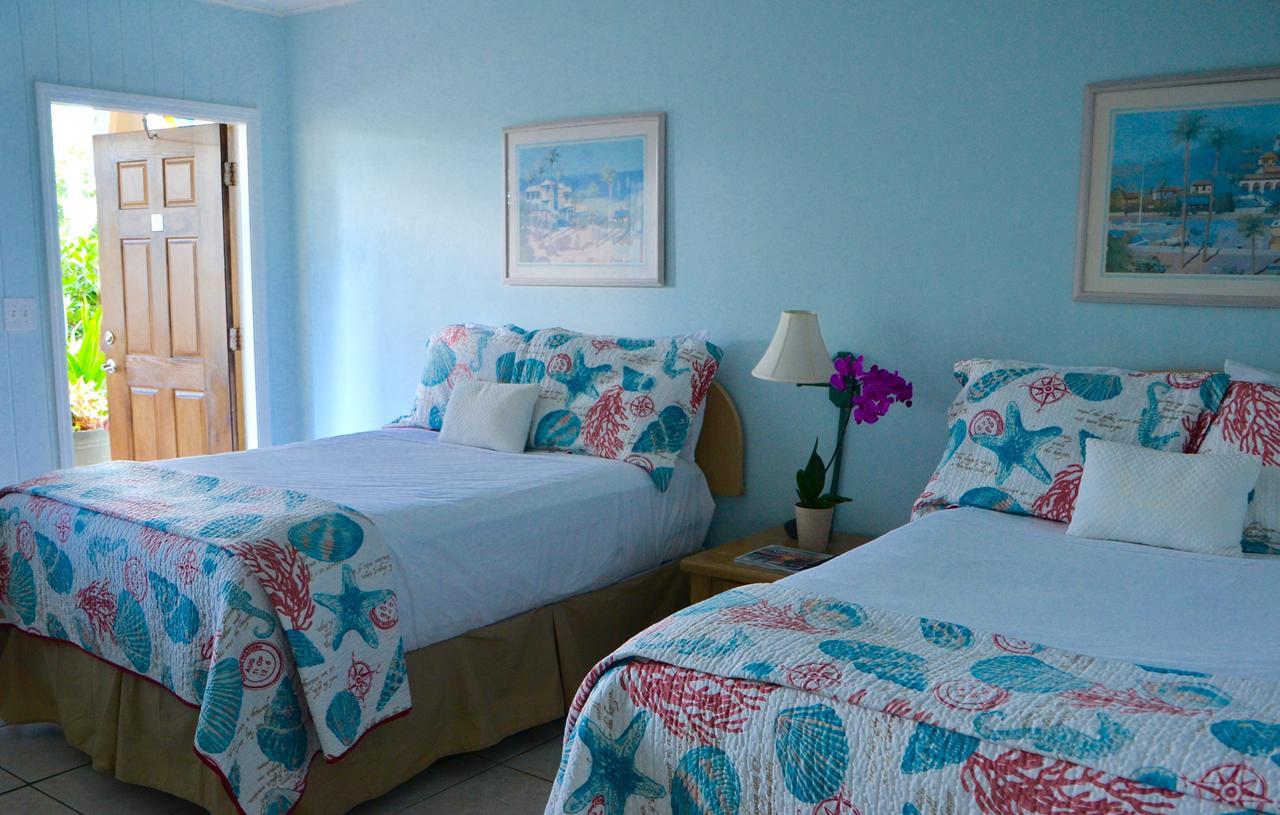 Sea Turtle Hotel