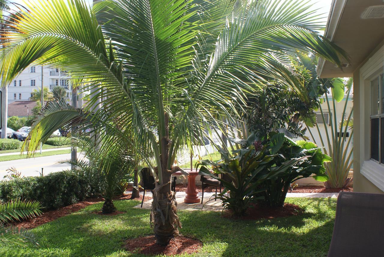 Atlantic Shores Vacation Hotel 3*