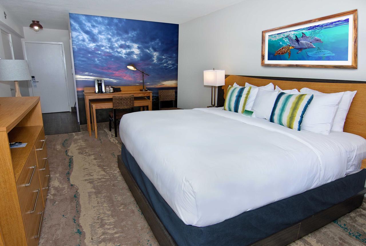 Guy Harvey On 3* St. Augustine