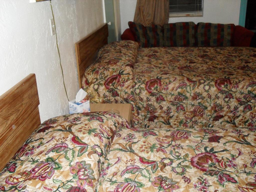 Motel Shore Winds *