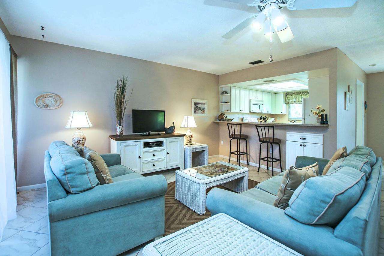 Sea Shells Of Apartment