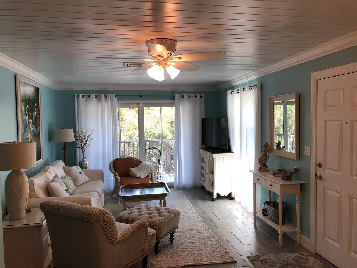 Sea Shells Of Apartment *