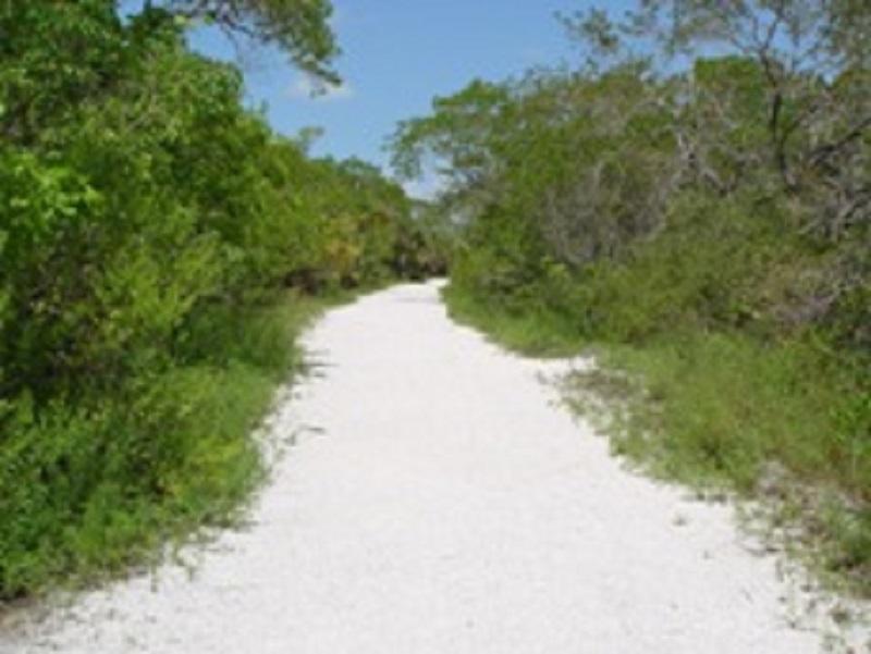 Tropical Winds Beachfront And 3* Sanibel