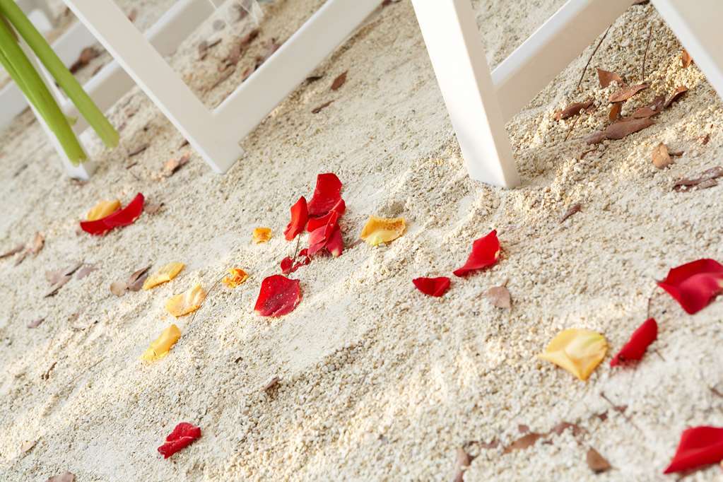Resort Baker's Cay Key Largo, Curio Collection By Hilton