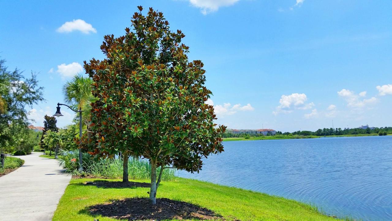 Lakeview Sunshine Holiday home Kissimmee