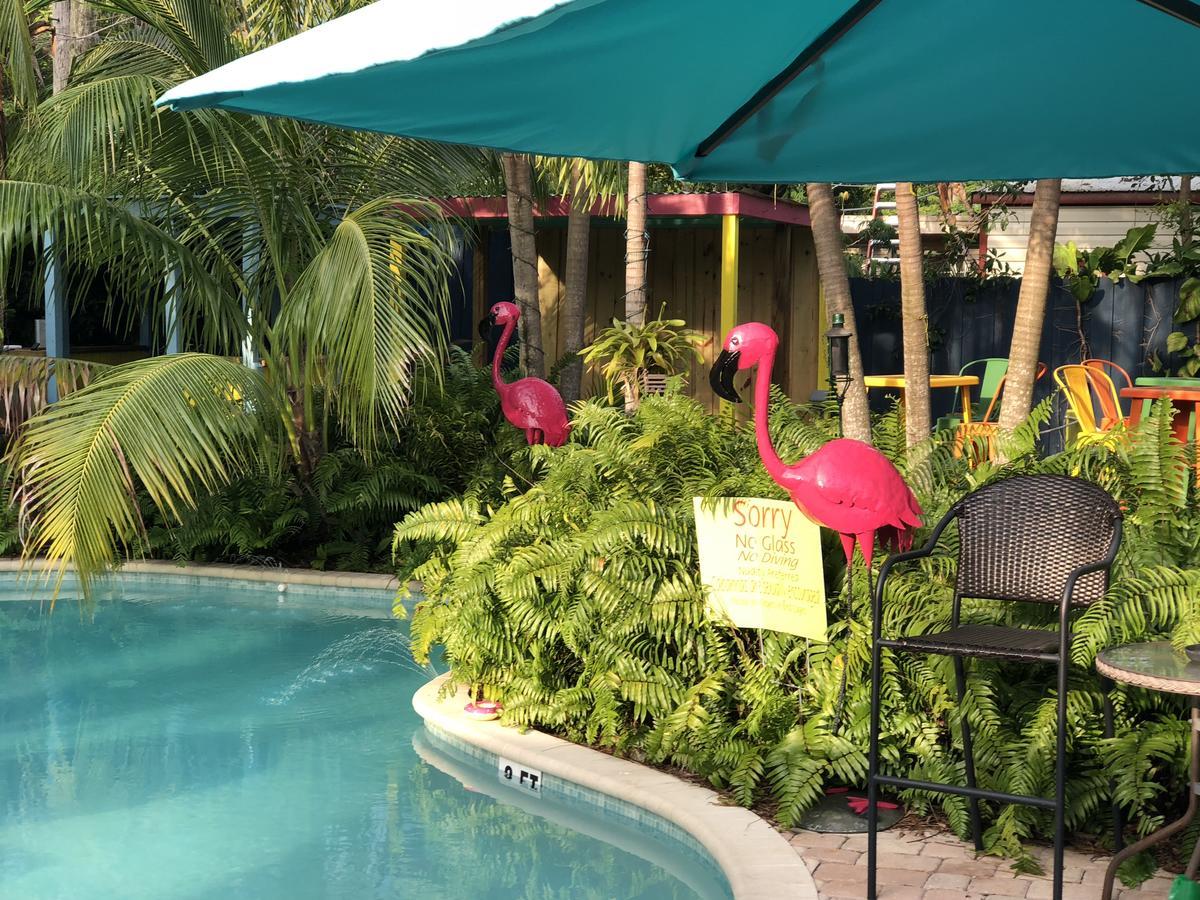 Inn Calypso Wilton Gay Male *