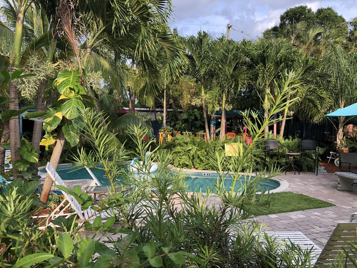 Calypso Wilton Gay Male Inn Wilton Manors