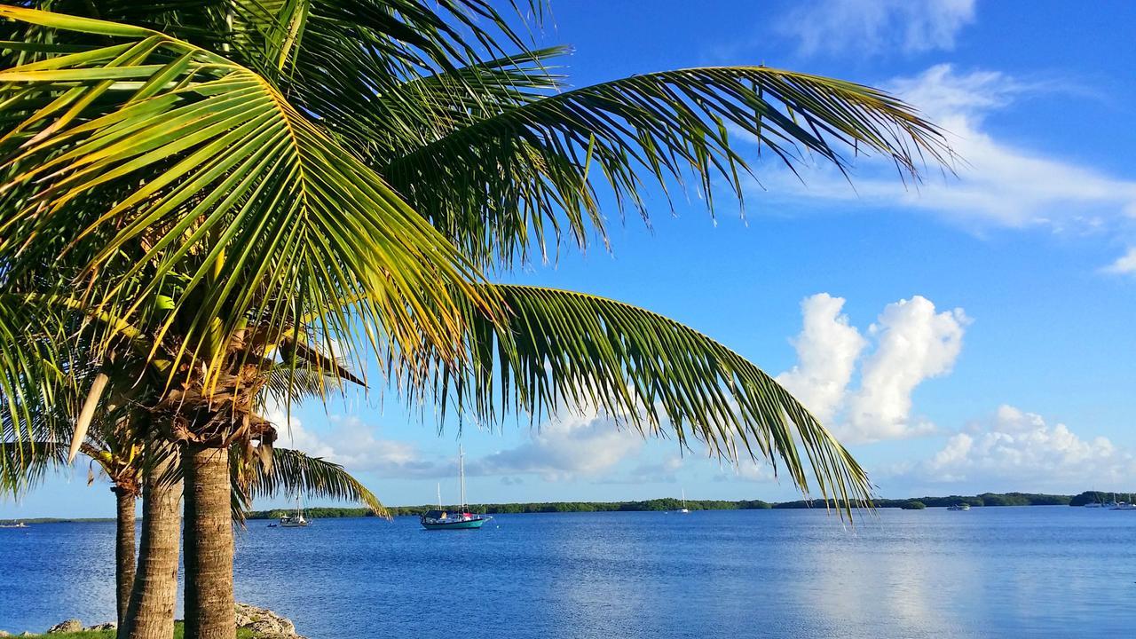 Resort Dolphin Point Key Largo