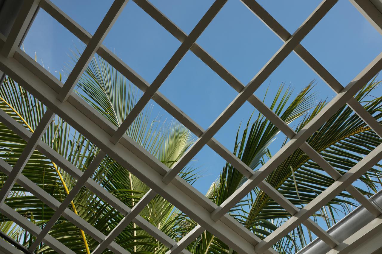 Resort (adults Only) Key Largo