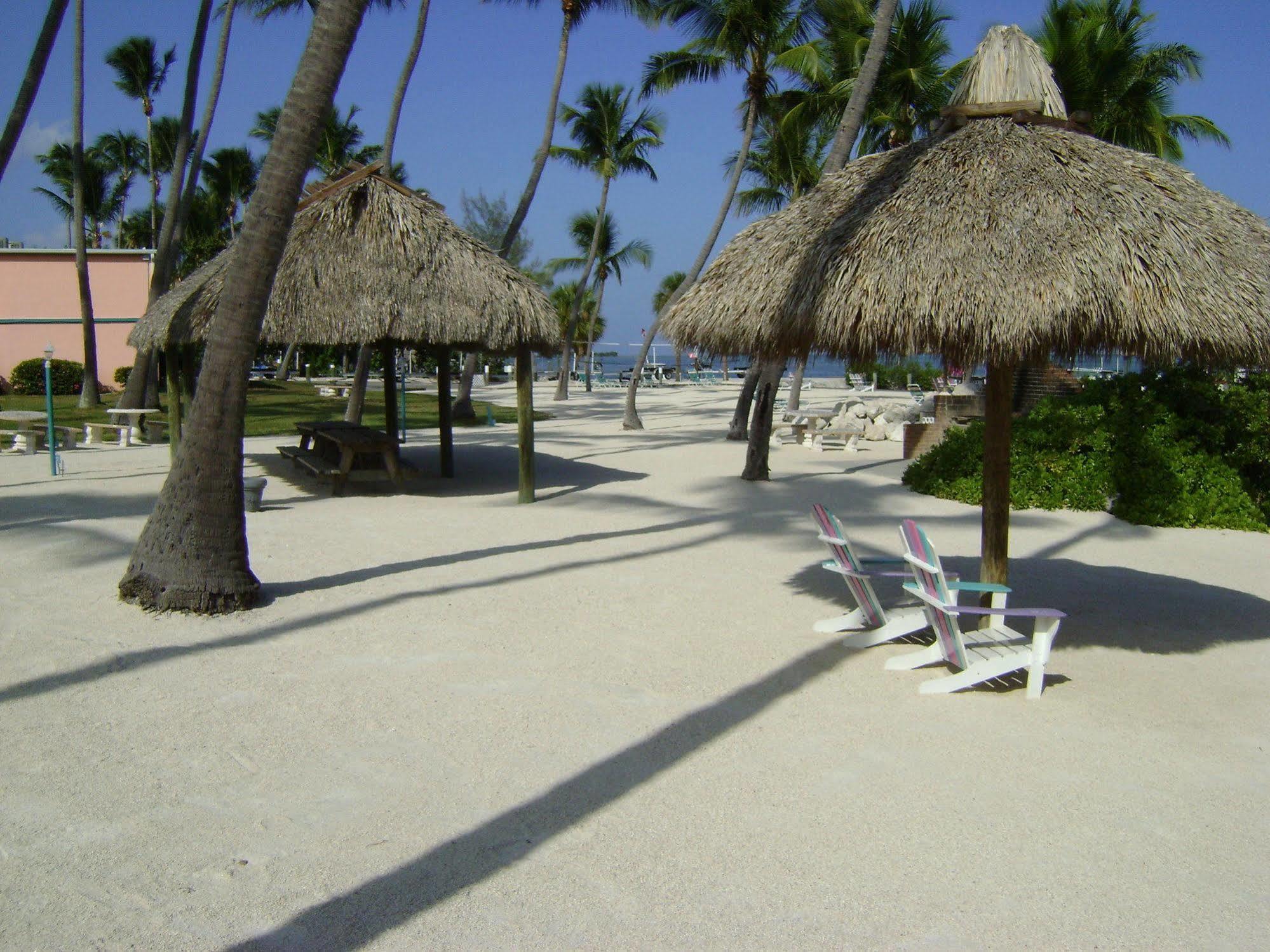 Hotel Breezy Palms 3*