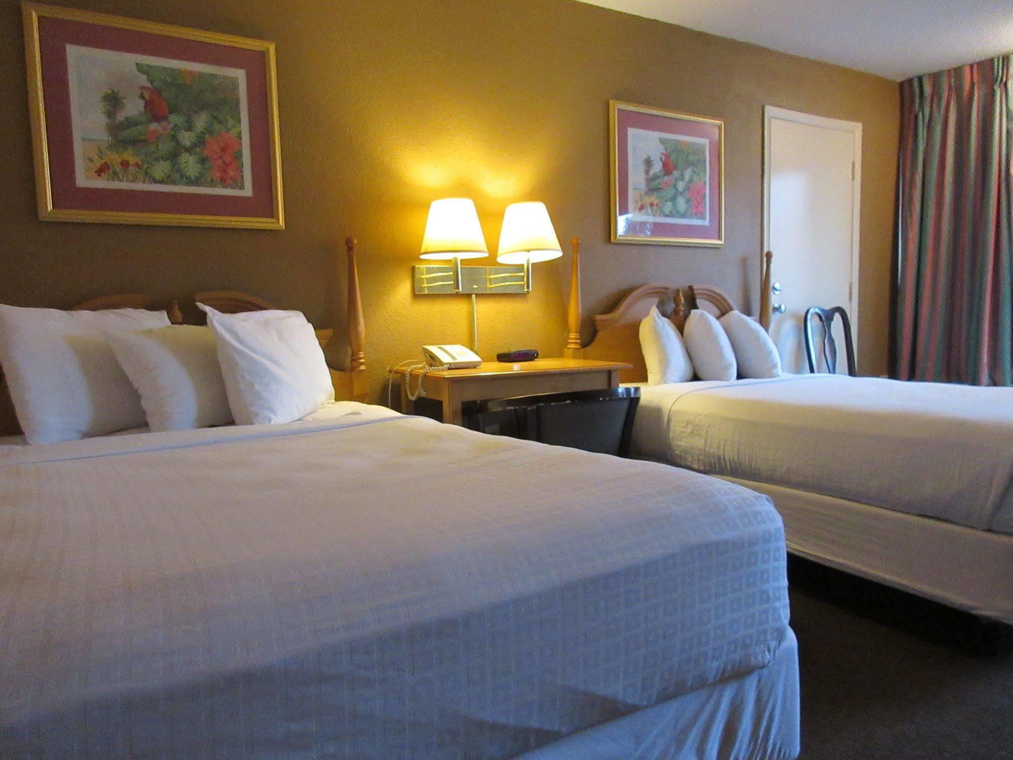 Hotel Roomba & At Old Town