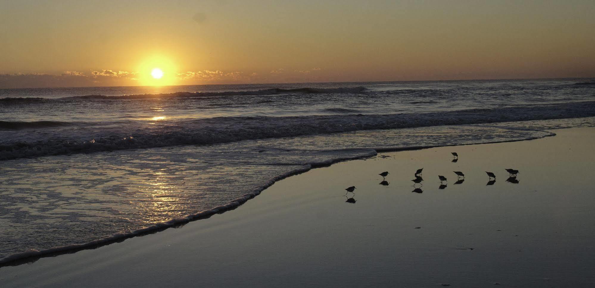 Club Sea Oats By Capital Vacations Motel Daytona Beach Shores