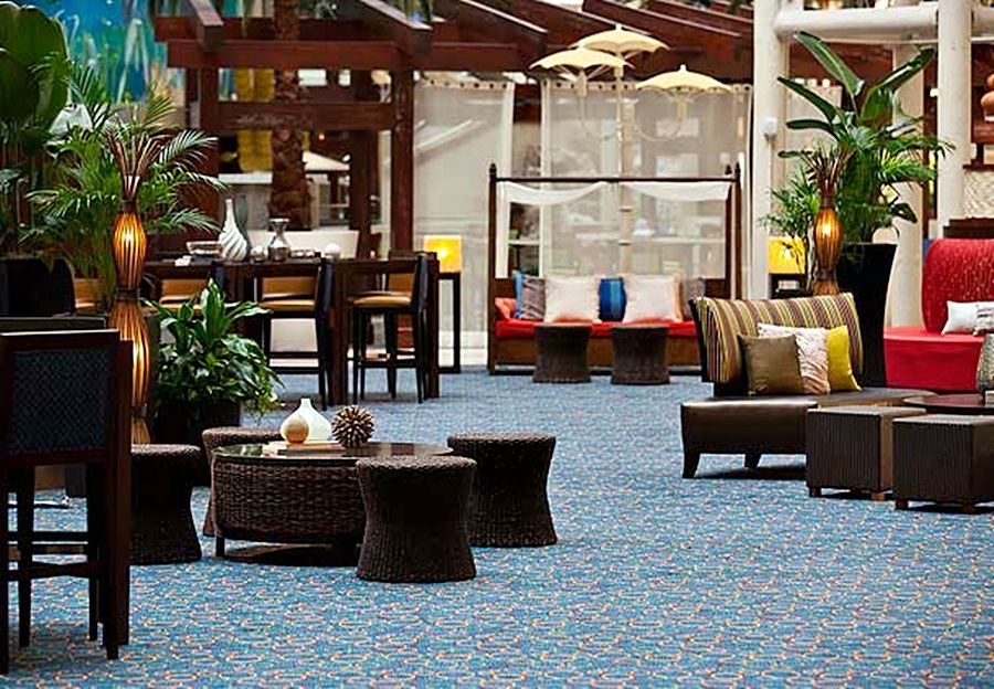 Springhill By Marriott Orlando At Seaworld Hotel Williamsburg