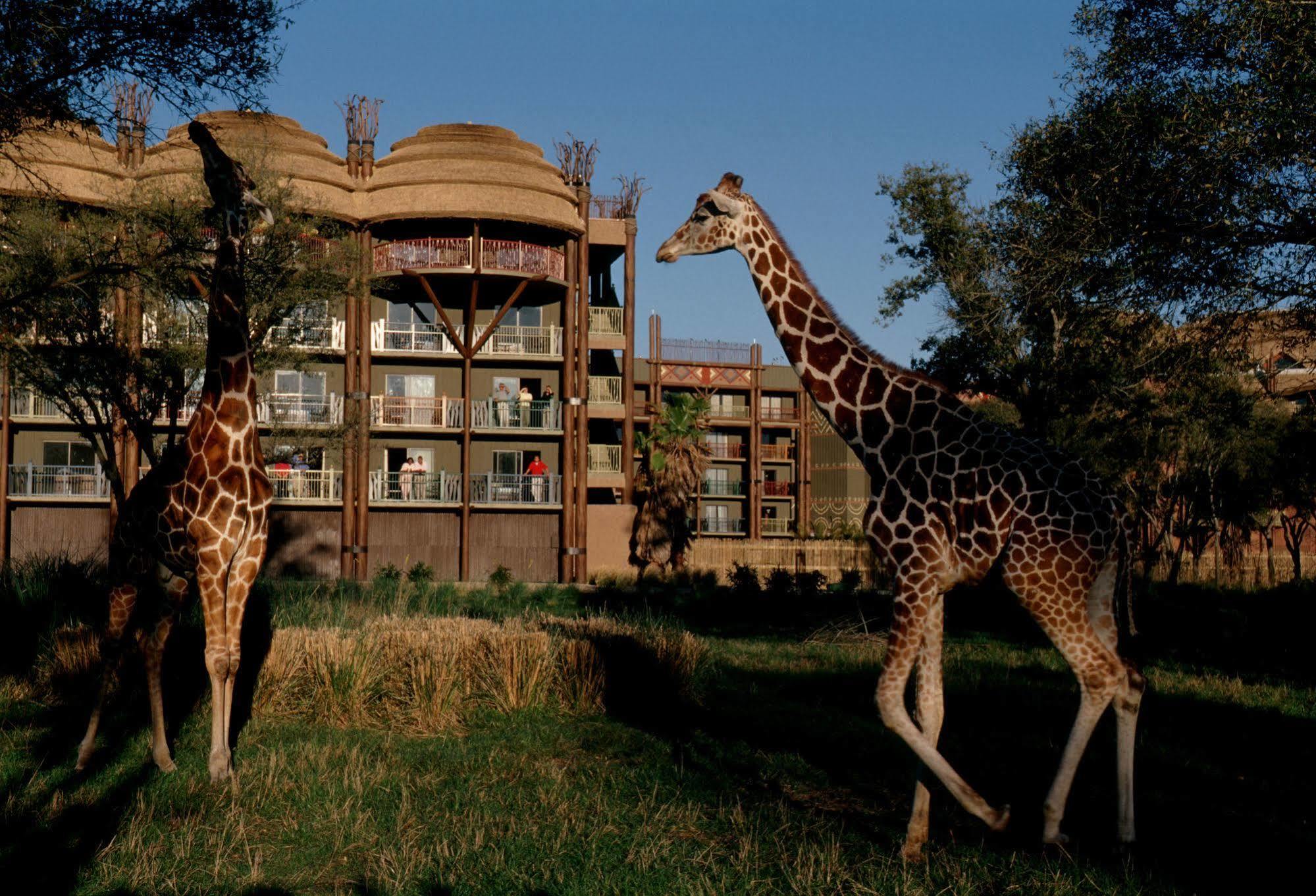 Disney's Animal Kingdom - Kidani Village 4* Lake Buena Vista