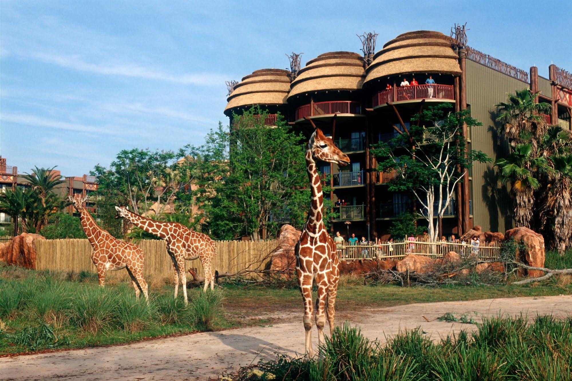 Disney's Animal Kingdom - Kidani Village