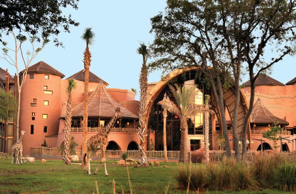 Disney's Animal Kingdom - Kidani Village Hotel Lake Buena Vista