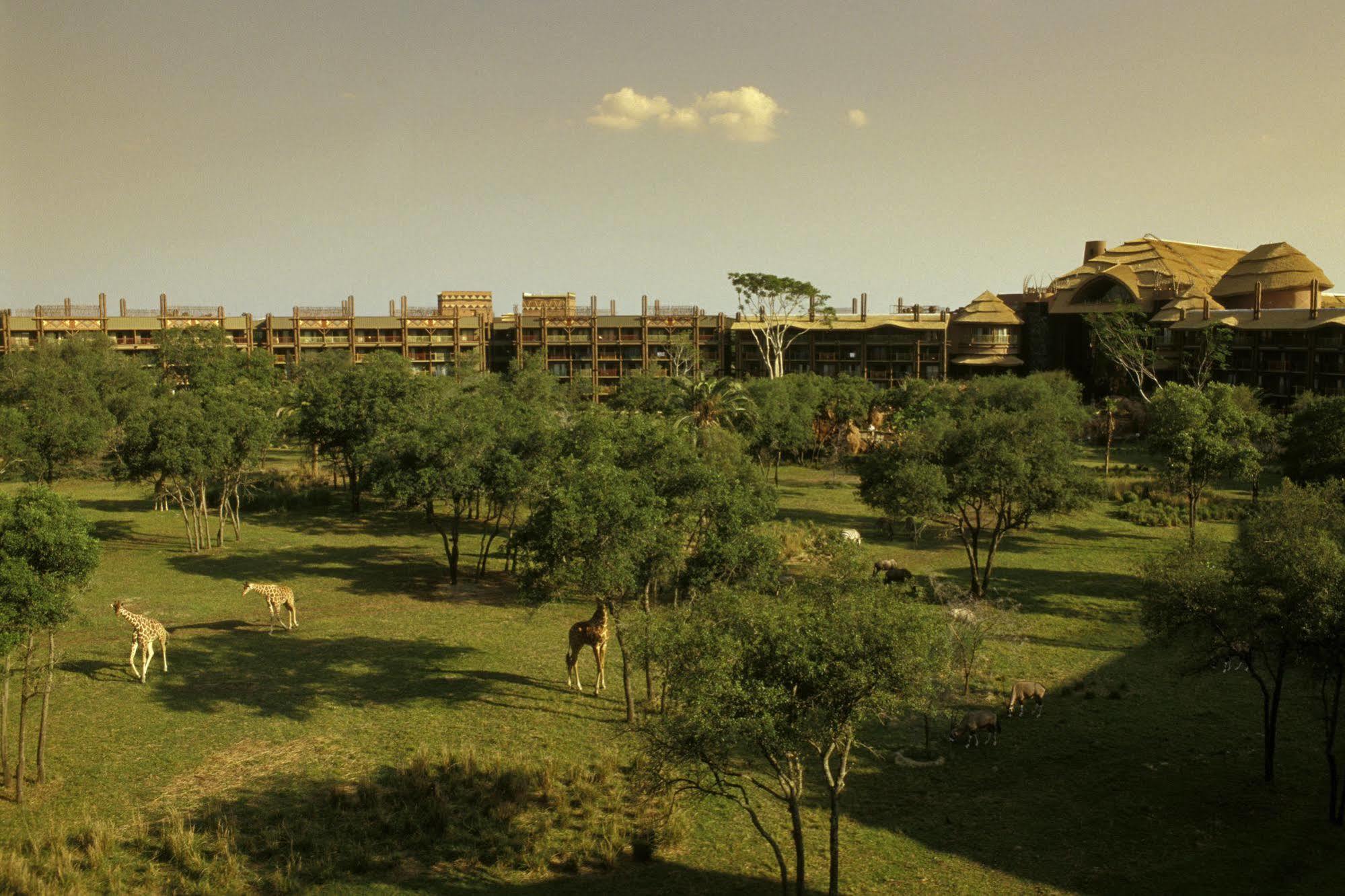 Hotel Disney's Animal Kingdom - Kidani Village 4*