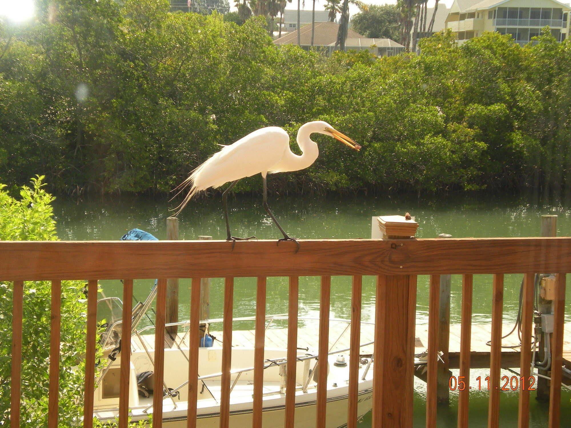 A Retreat On Casey Key 2* Nokomis