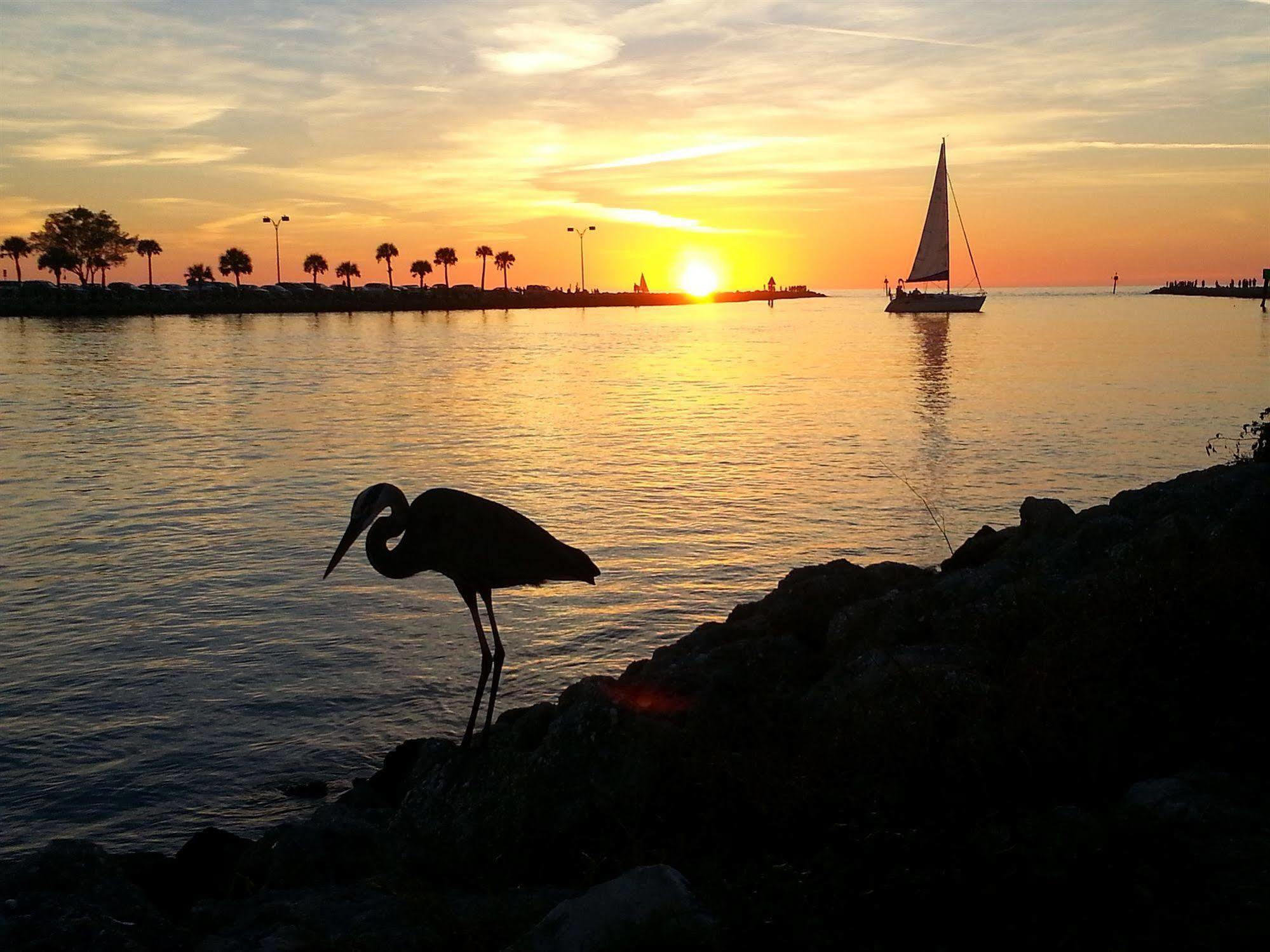 A Retreat On Casey Key Nokomis