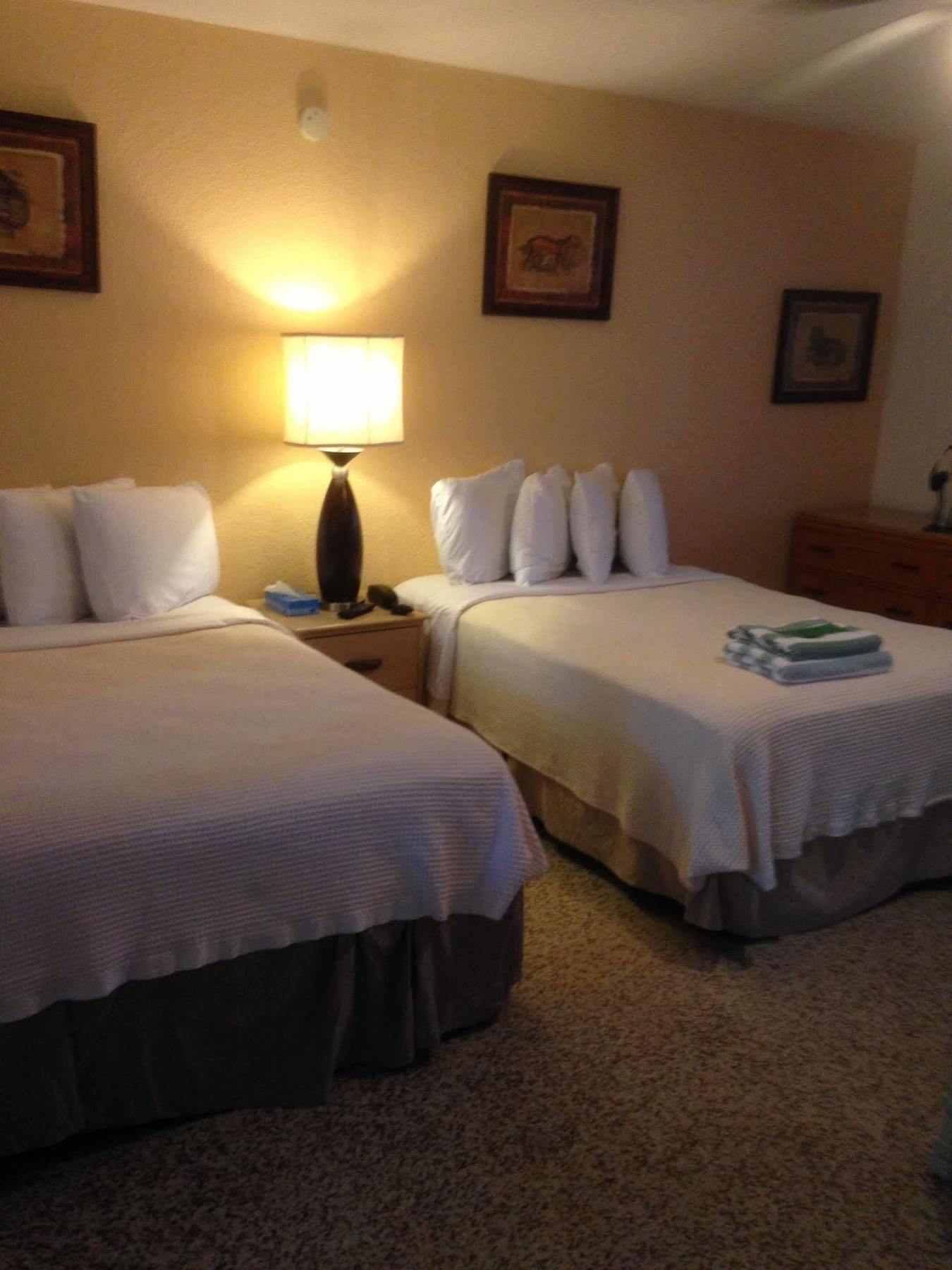 Amber Tides 2* Clearwater Beach