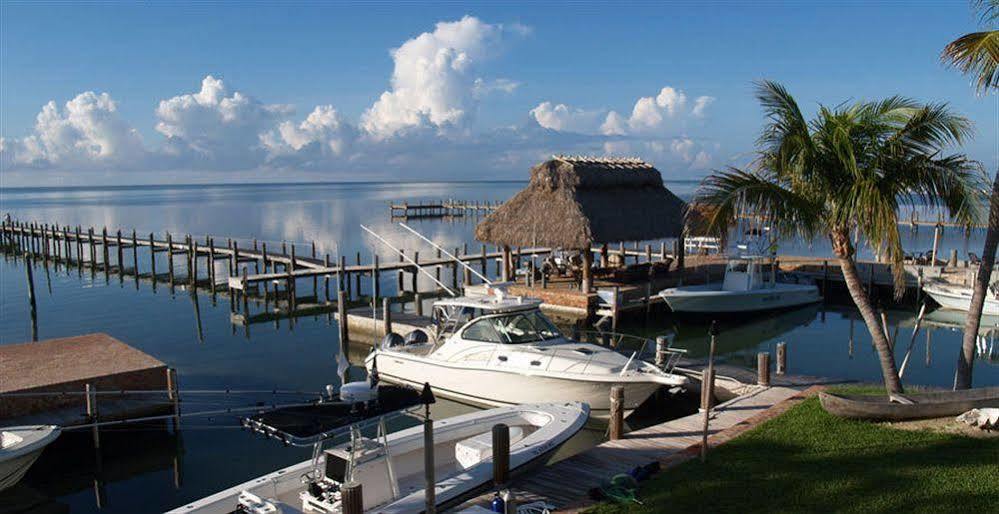 The Caribbean
