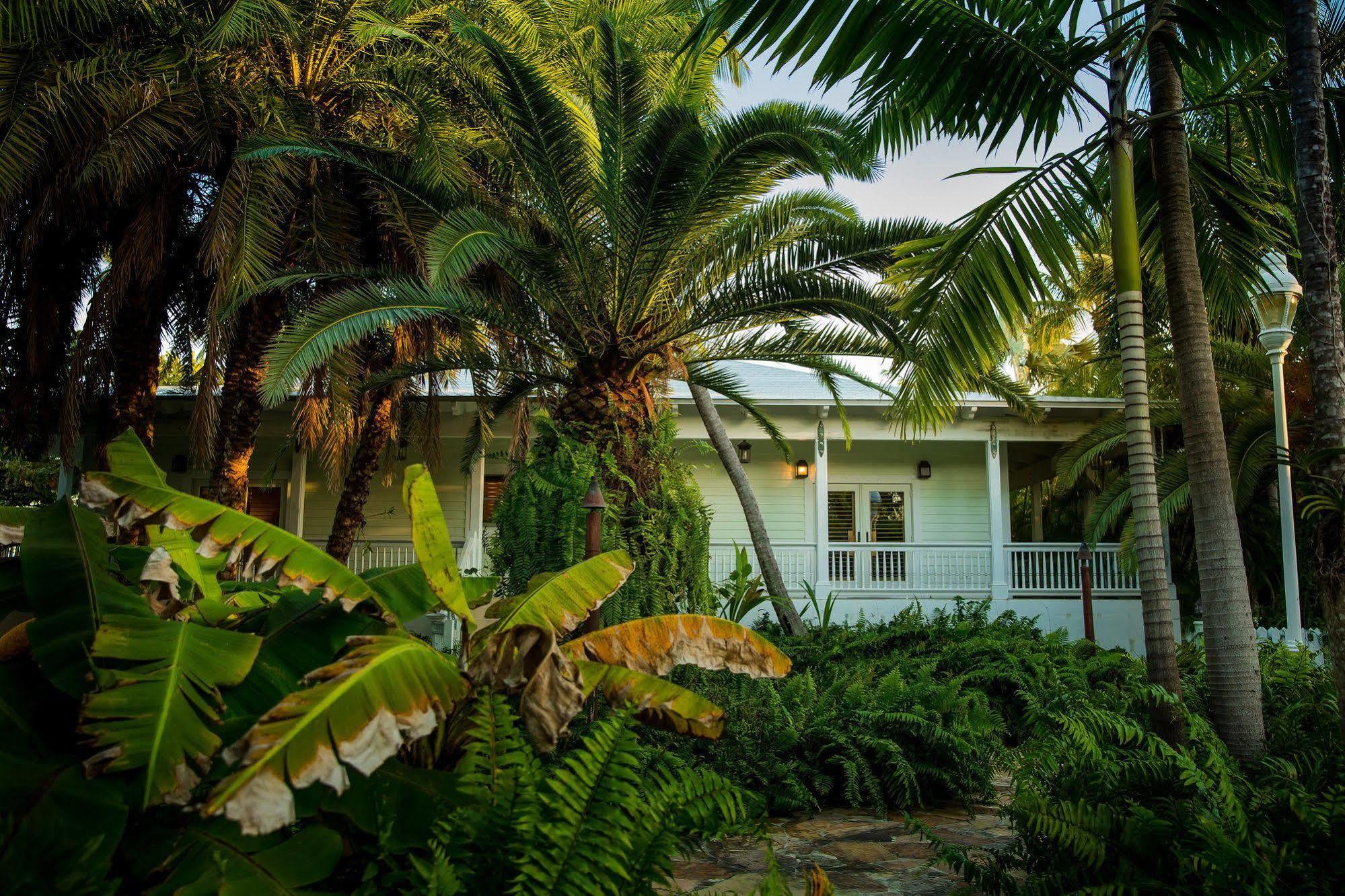 The Caribbean