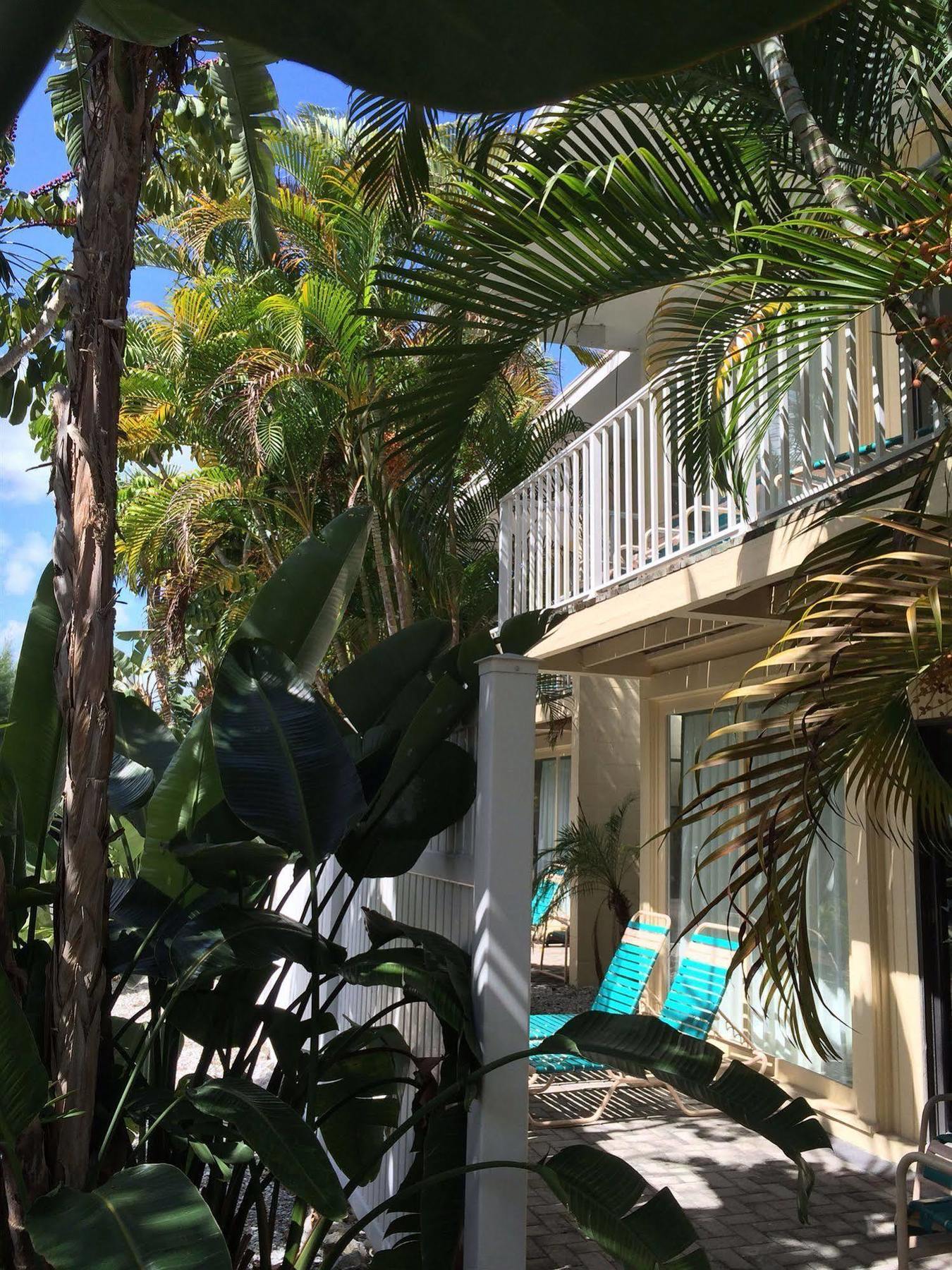 Coquina On The Lido Key (Sarasota)
