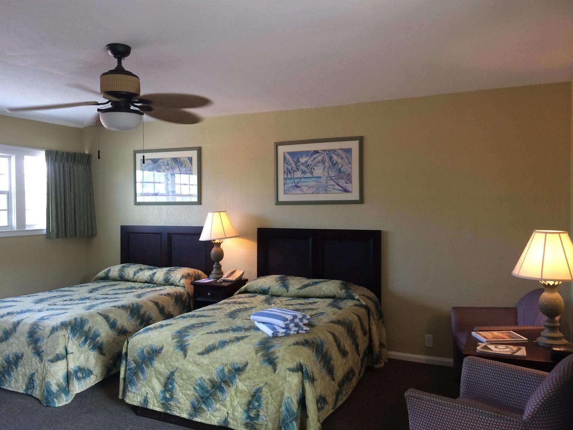 Coquina On The Apartment *
