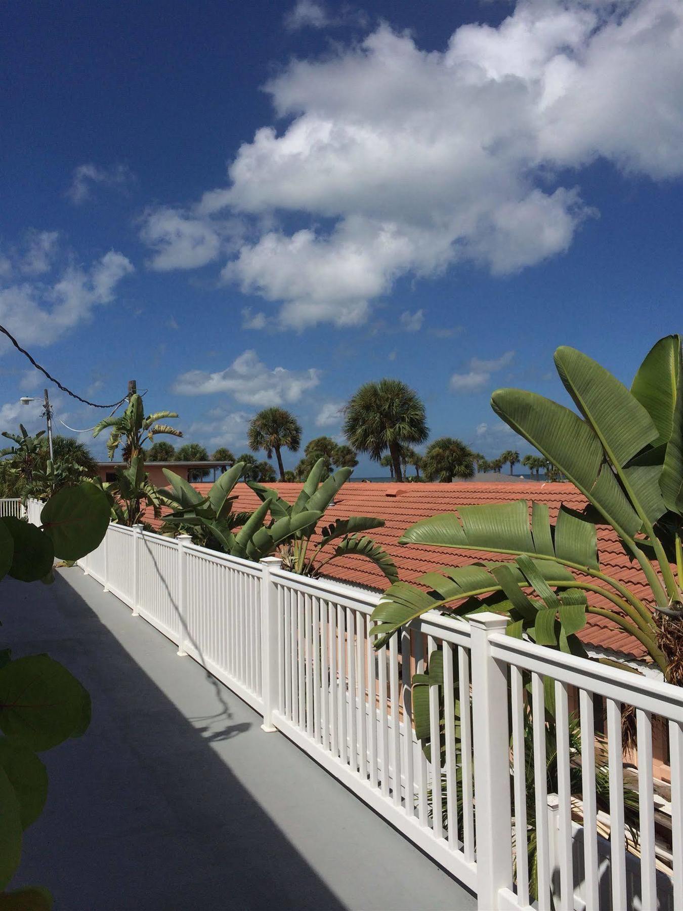 Coquina On The Apartment