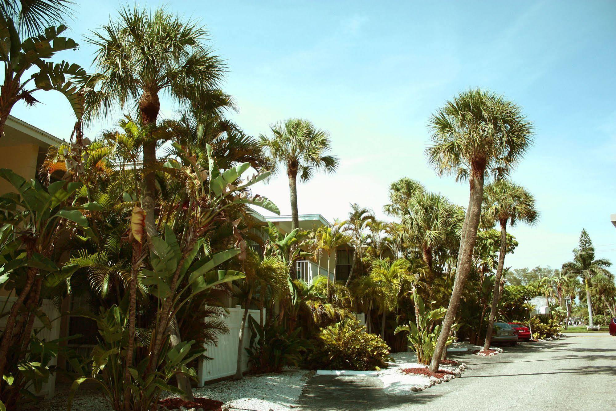Coquina On The Apartment *