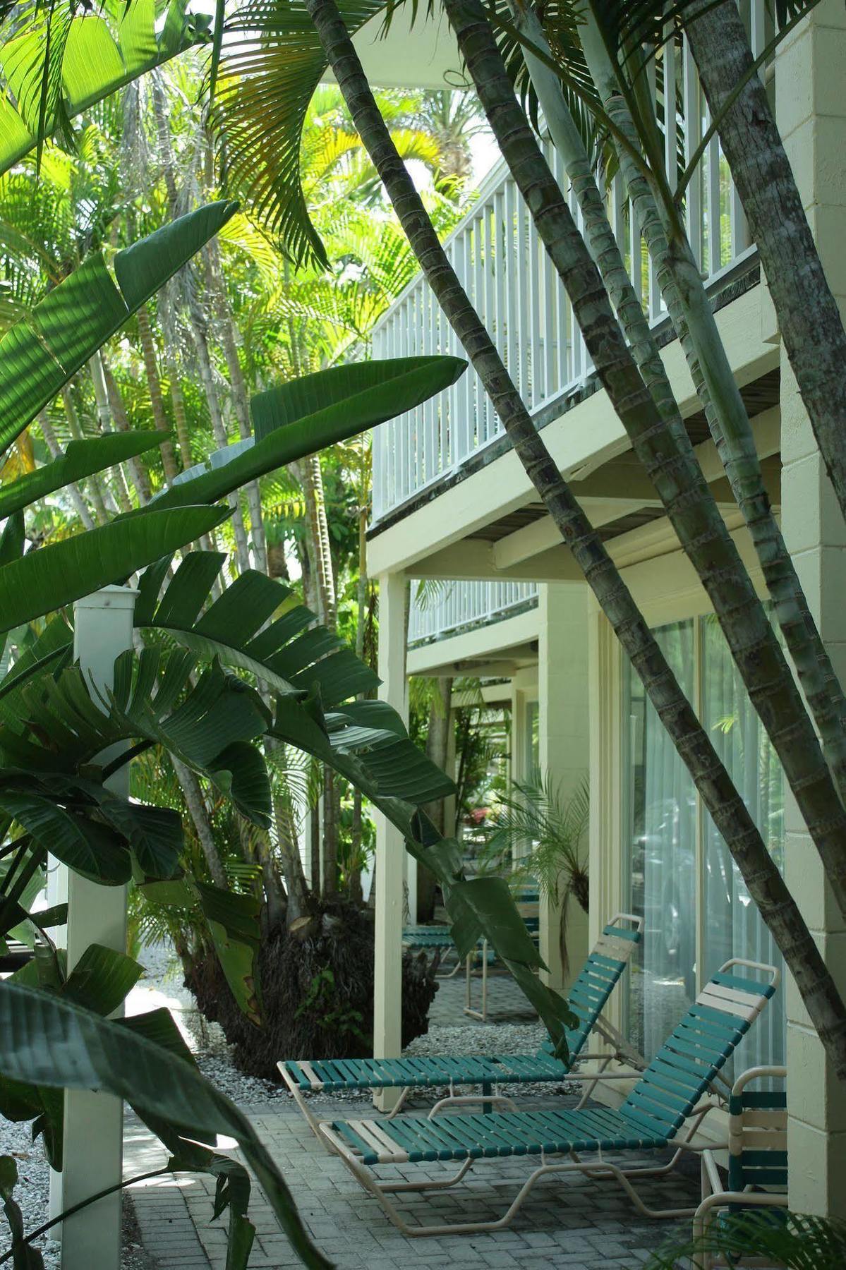 Coquina On The Apartment