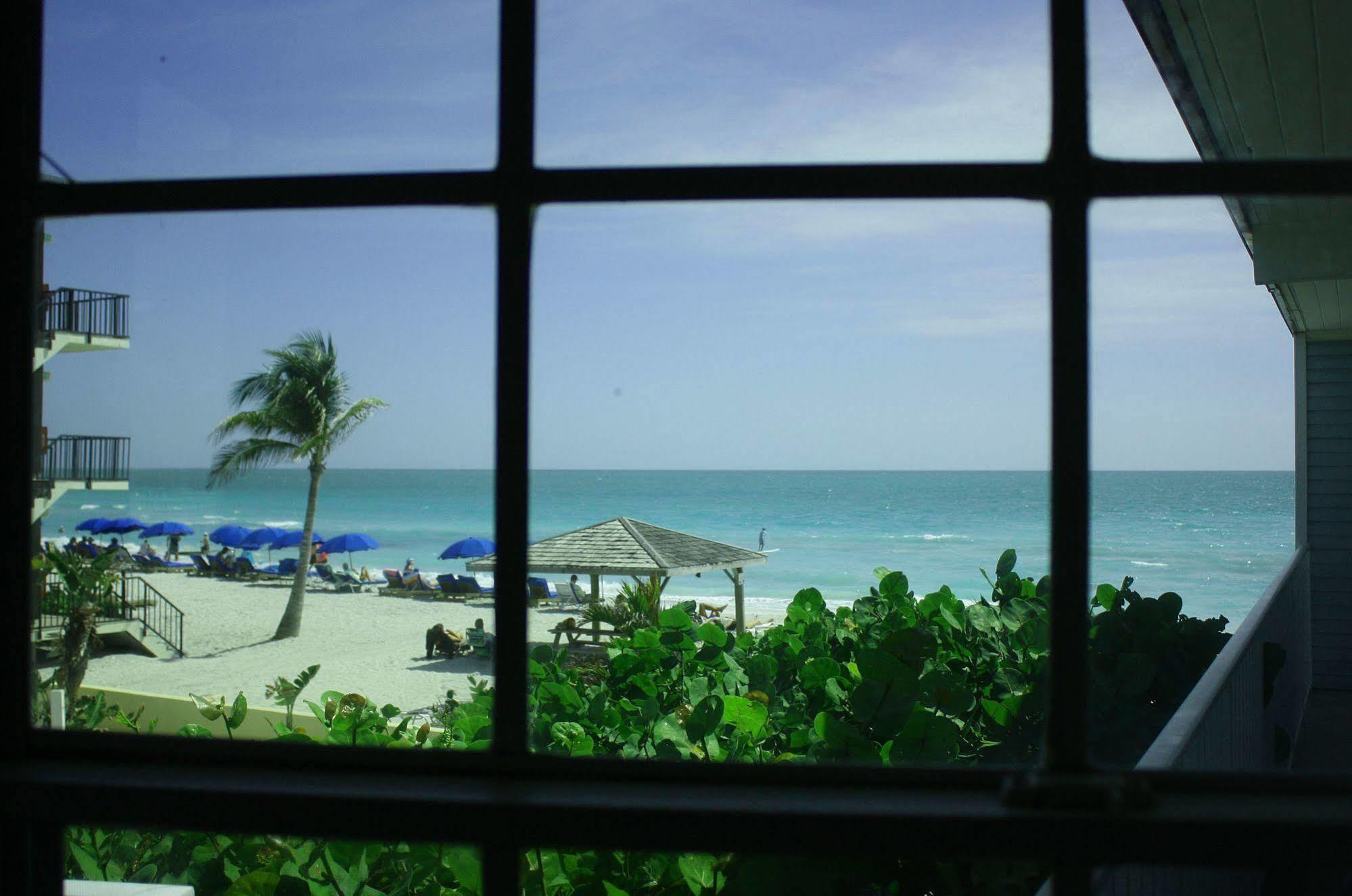 Coquina On The *